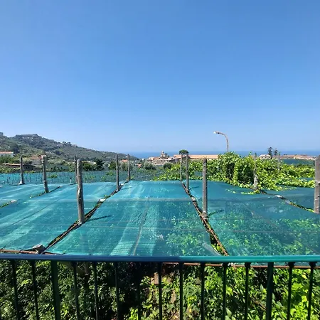 Il Pozzillo Maison
